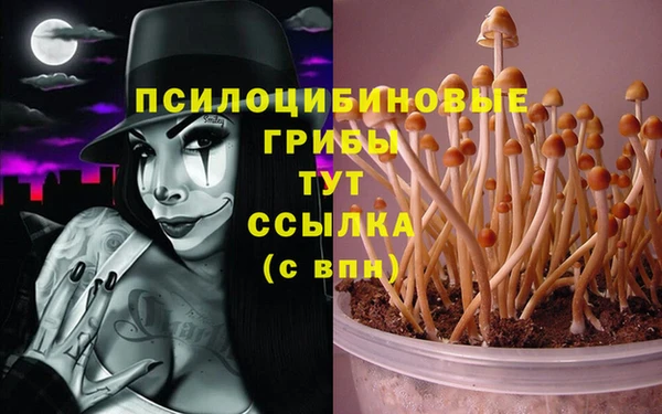 мефедрон Новозыбков