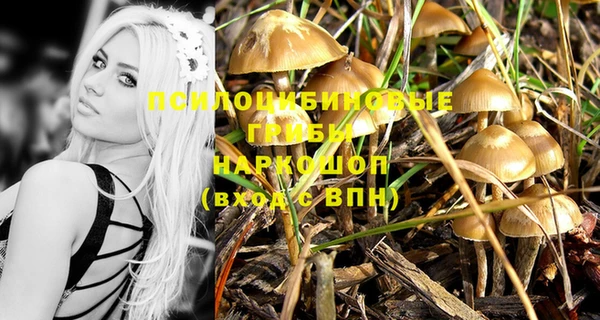 не бодяженный Новодвинск