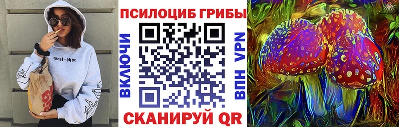 дарнет шоп  kraken зеркало  Псилоцибиновые грибы мухоморы  Галич 