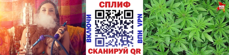 МАРИХУАНА MAZAR  купить наркотики цена  площадка клад  Галич 